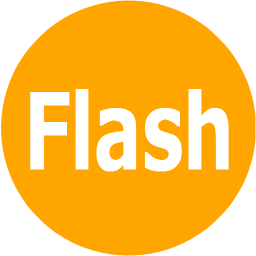 図書タイプ：Flash
